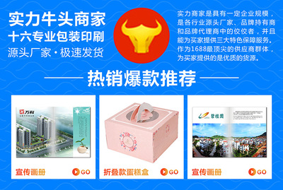 工廠直營(yíng)畫(huà)冊(cè)彩頁(yè)四折頁(yè)產(chǎn)品畫(huà)冊(cè)定制黑白說(shuō)明書(shū)設(shè)計(jì)廣告宣傳冊(cè)